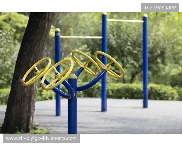 江苏大型体育健身器材项目及体育锻炼设施建设